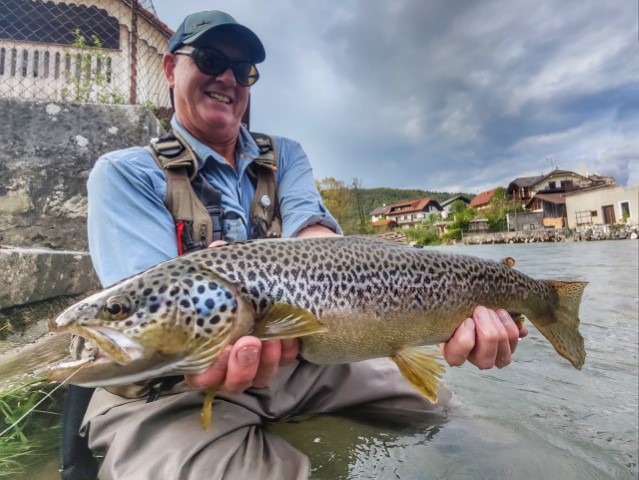 Phil and big Brown trout.